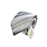 Kids Beige & Silver Striped Silk Pinoti Tie 23207