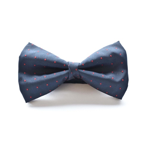 Navy Red Silk Spotted Bowtie