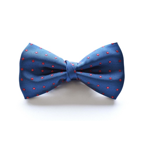 Blue Red Silk Spotted Bowtie