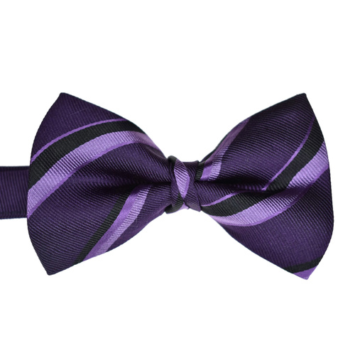 Purple Striped Silk Bowtie