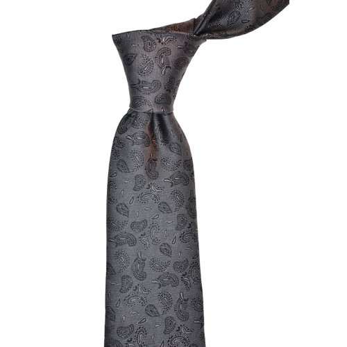 Paisley Charcoal Silk Tie 
