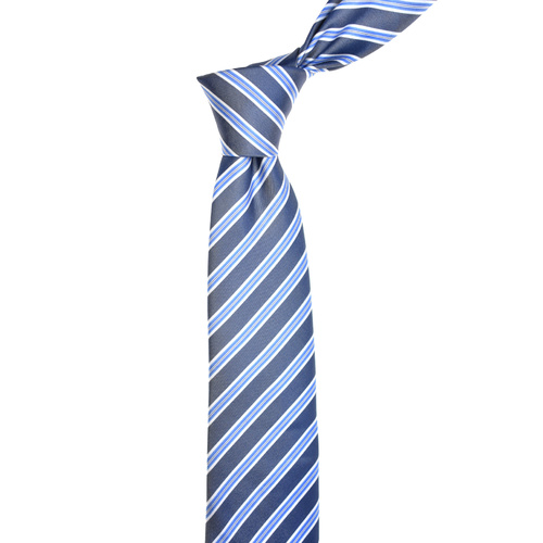 Striped Navy Silk Tie 