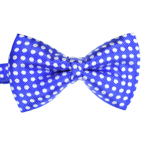 Royal & White Spotted Silk Bowtie 