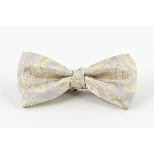 Silver & Gold Paisley Bow Tie