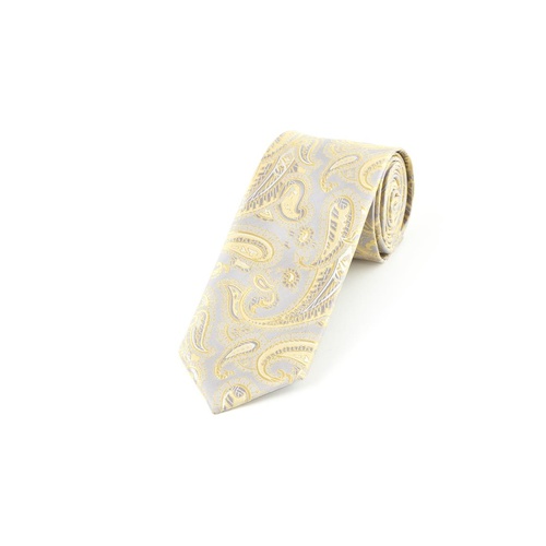 Silver & Gold Paisley Tie